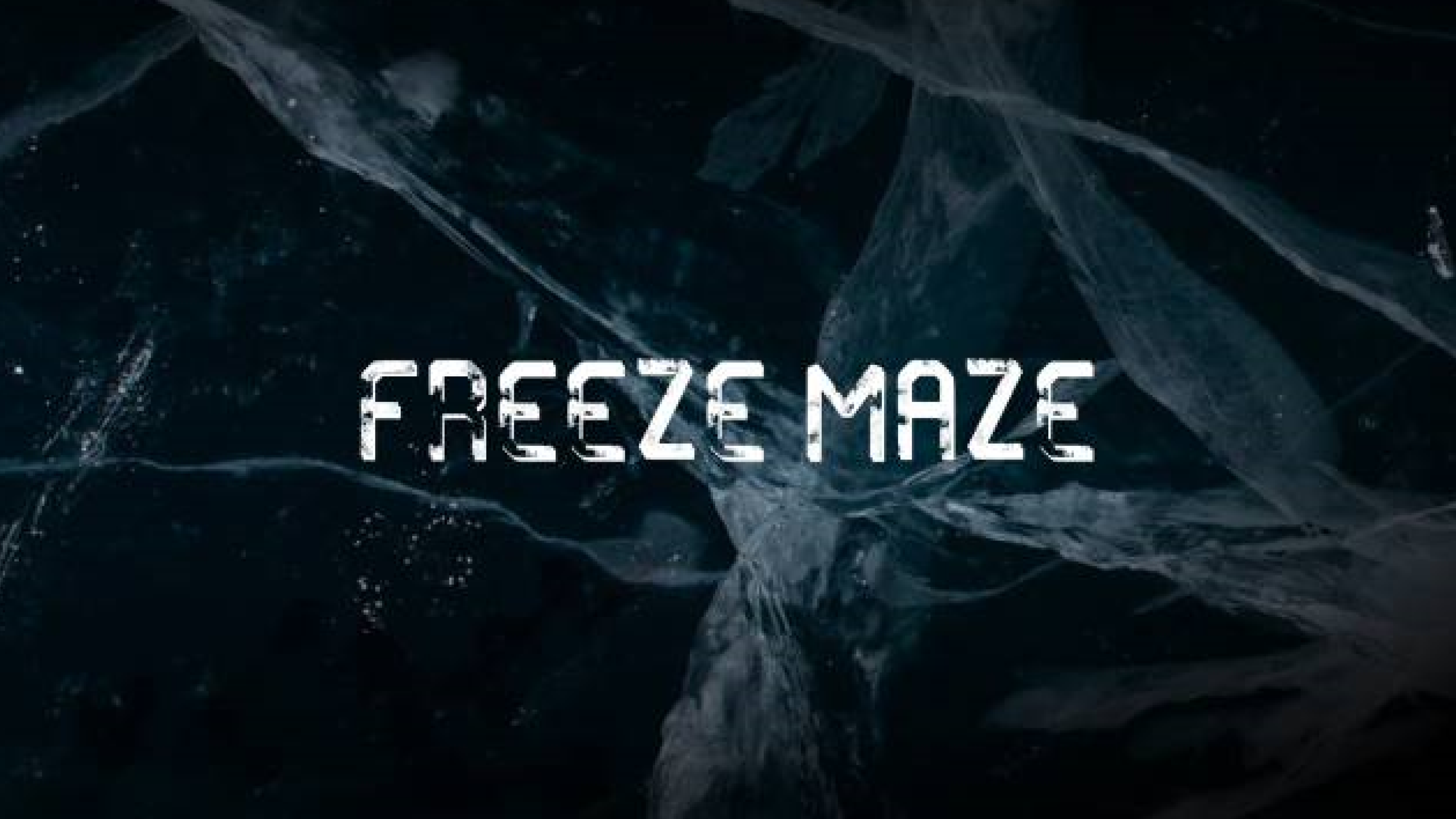 FreezeMaze 프로젝트